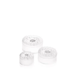 Lalique Dahlia Crystal Box