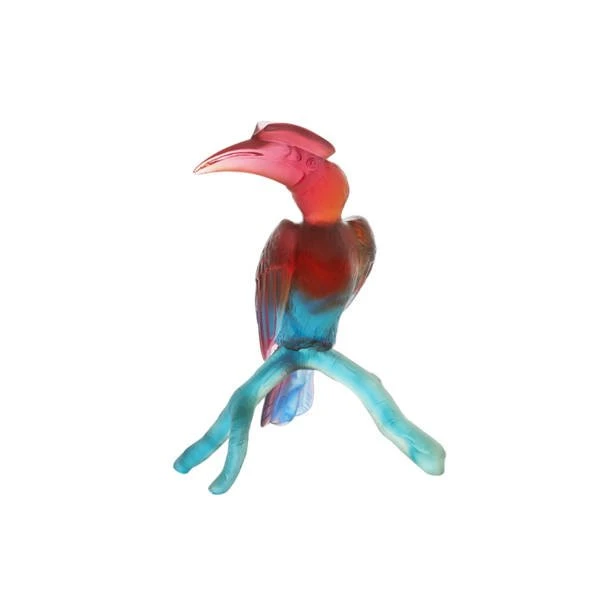 Calao Sur Branche Daum 1 Calao Sur Branche Daum