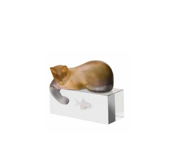 Chat Ambre Gris Daum 1 Chat Ambre Gris Daum