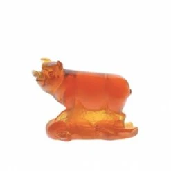 Cochon Ambre Daum