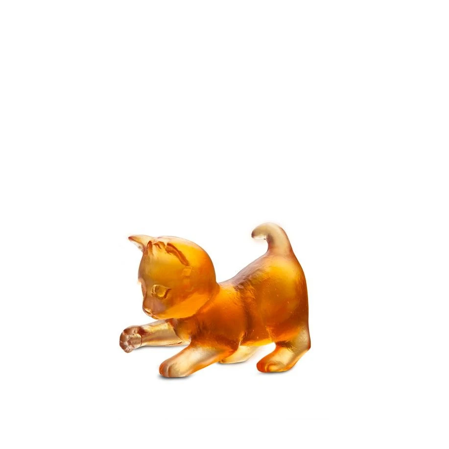 Mini Chatons Joueur Ambre Daum 1 Mini Chatons Joueur Ambre Daum