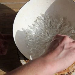 Coupe En Verre Par Aline Thibault (vert D’eau)