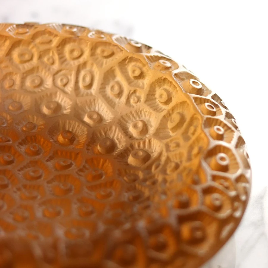 Coupe Coraux Pm Daum 1 Coupe Coraux Pm Daum