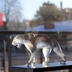 Wild Panther Grise Orlinski Pm Daum