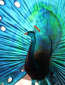 Parade Du Paon Daum Par Madeleine Van Der Knoop 11 Parade Du Paon Daum Par Madeleine Van Der Knoop -OBJETS DÉCORATIFS CRISTAL paon cristal daum 1