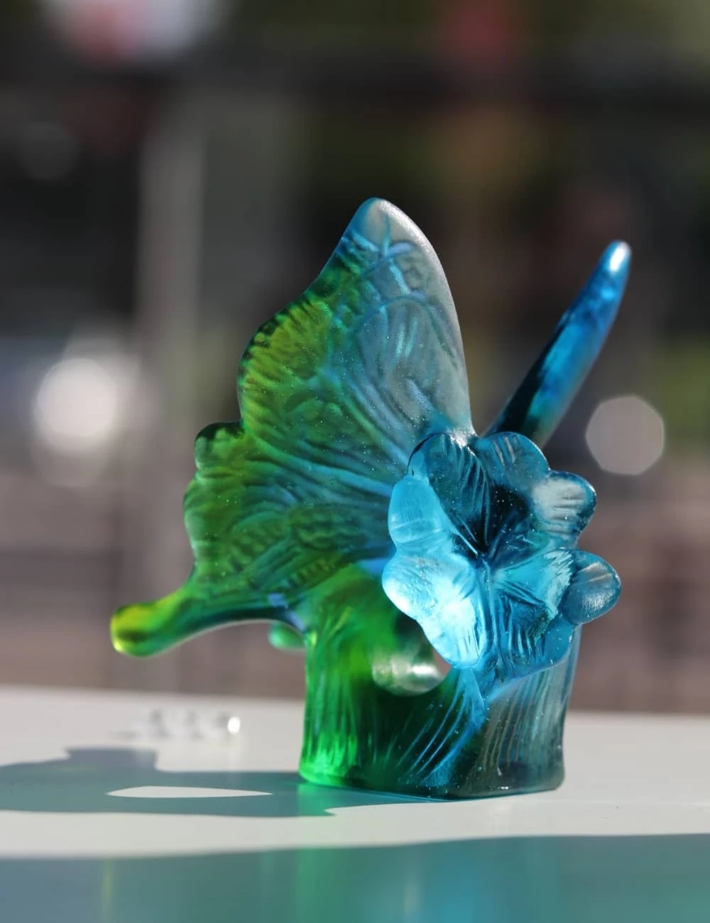 Papillon Daum France 3 Papillon Daum France – Image 3