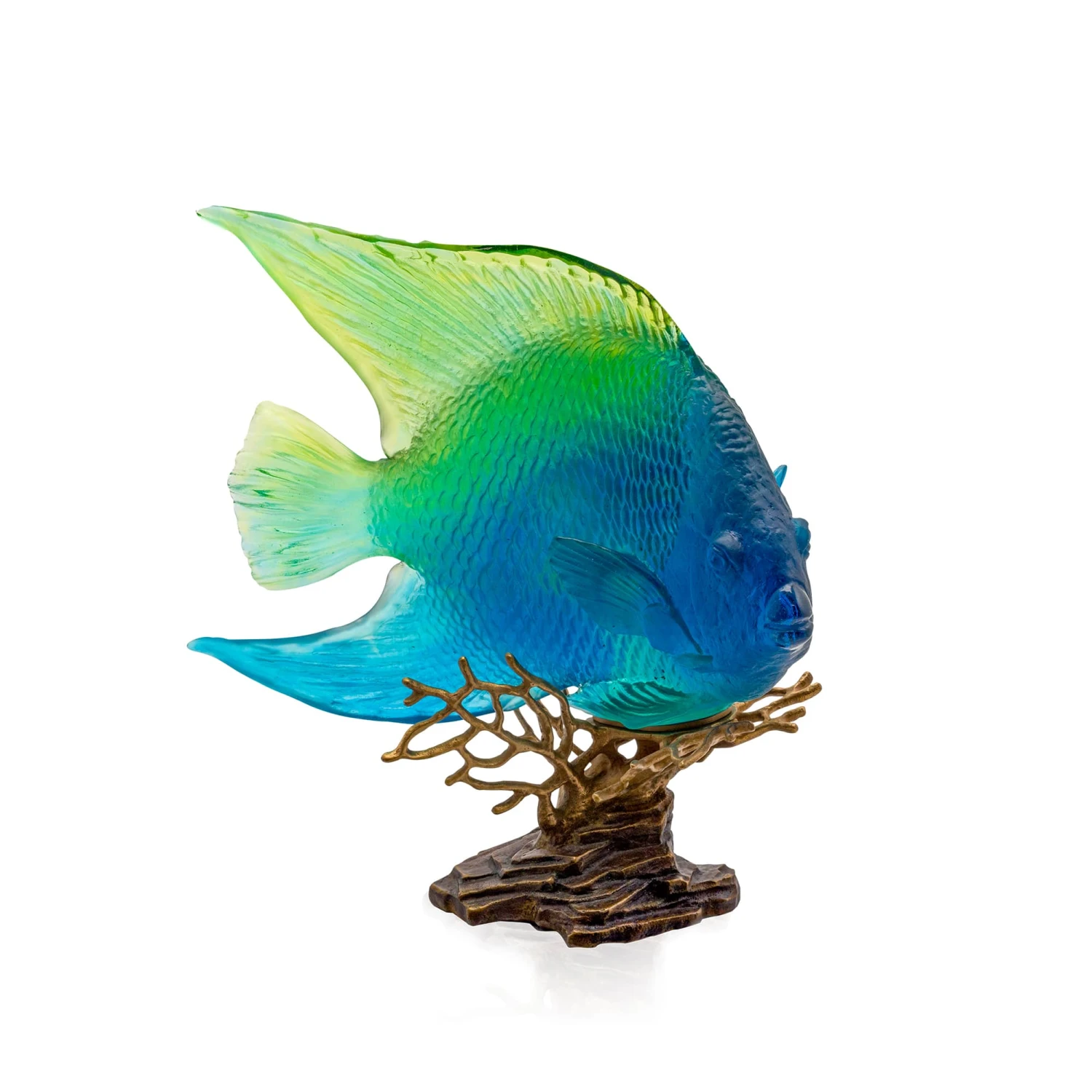 Poisson Ange Royal Bleu Jaune Mer De Corail Daum 1 Poisson Ange Royal Bleu Jaune Mer De Corail Daum