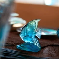 Poisson Platax Petit Modèle Maya Daum