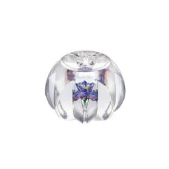 Presse-papier Ipomee 2019 Saint-Louis