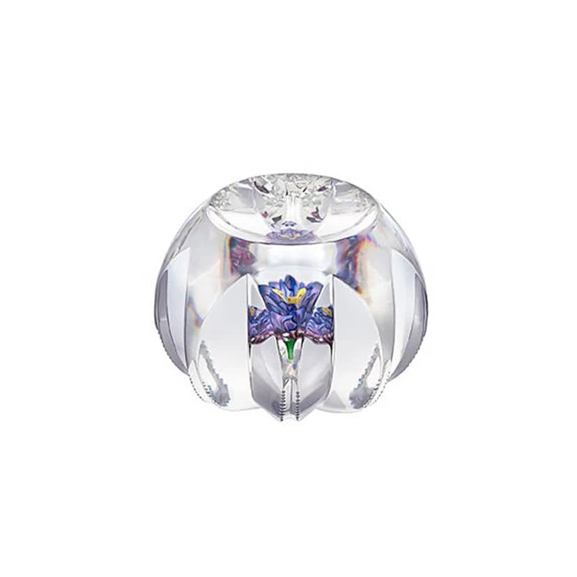 Presse-papier Ipomee 2019 Saint-Louis 1 Presse-papier Ipomee 2019 Saint-Louis