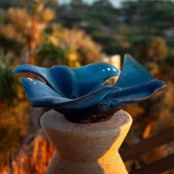 Centre De Table Raies Maya Daum