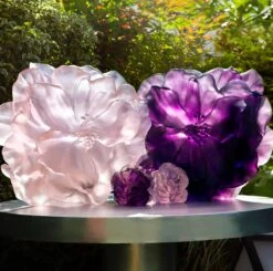 Vase Grand Modèle Camélia Daum