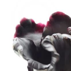 Vase Tulipe Noir Appaloosa Daum